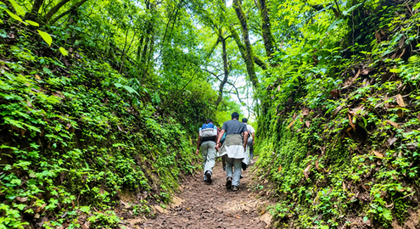 Shivapuri Day Hike in Kathmandu
