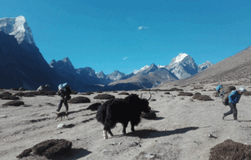 jiri to everest base camp trekking