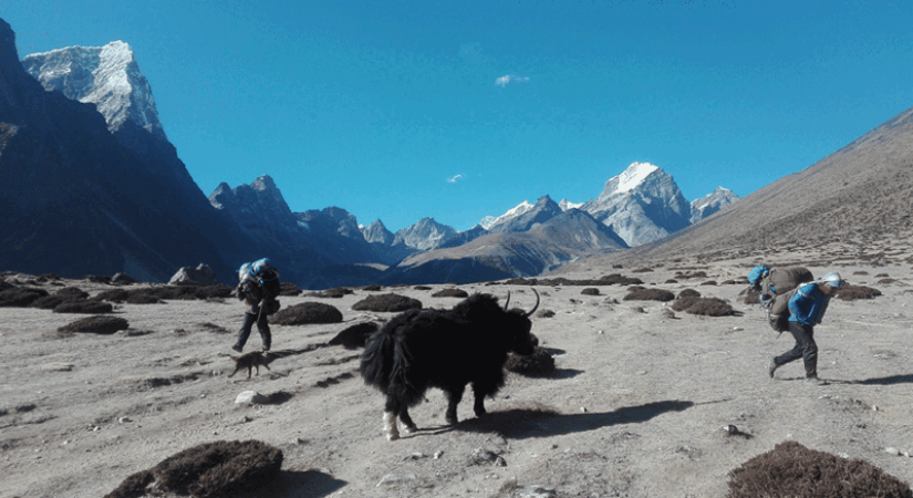  jiri to everest base camp trekking 