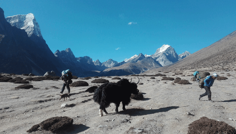 jiri to everest base camp trekking