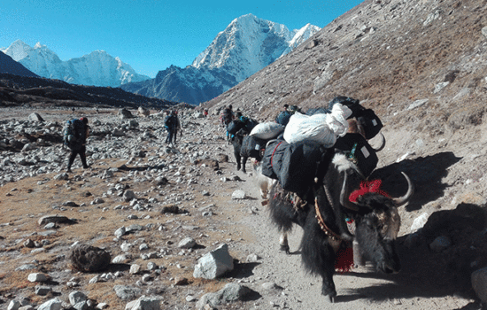 Everest Trekking Region Guide