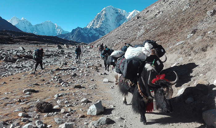 Everest Trekking Region Guide