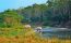 Chitwan Jungle Safari Tour