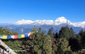 Ghorepani Poon hill trek with Dhaulagiri moutain view Ghorepani Poon hill trek with Dhaulagiri moutain view