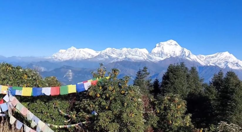 Ghorepani Poon hill trek with Dhaulagiri moutain view