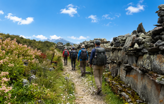 Langtang valley trek with best freelance guide