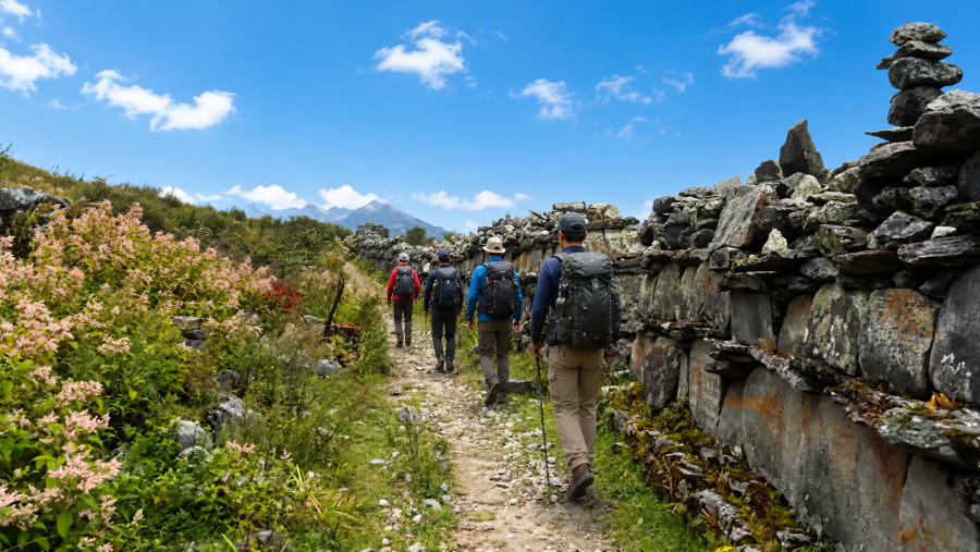 Langtang valley trek with best freelance guide